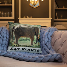 Load image into Gallery viewer, Elephants Eat Plants Square Accent Pillow