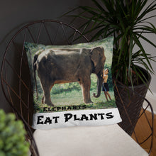 Load image into Gallery viewer, Elephants Eat Plants Square Accent Pillow